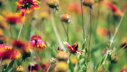 Helping Us Believe - Tony Evans Sermon
