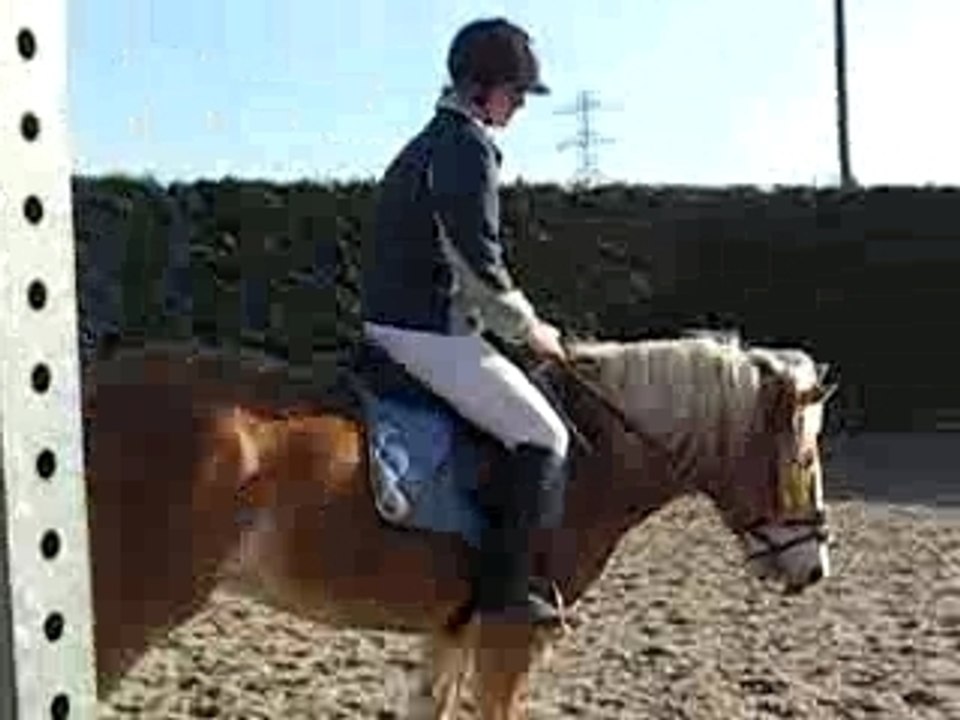 Octa oxer 2