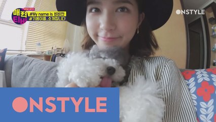 [비비안TV]우리를 ′랜선맘′으로 만들 반려견 ′기요미′의 개인기!
