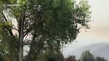 'River Fire' continues to grow in Salinas, California