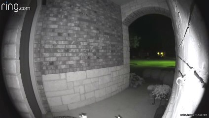 Lizard Tail Triggering Ring Camera