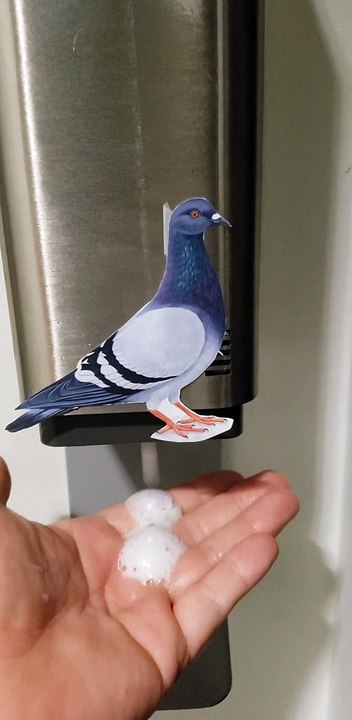 A Creative Touch to Hand Sanitizer Dispensers