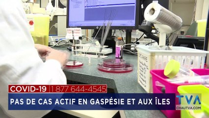 TVA Nouvelles 18H CHAU 17 août 2020