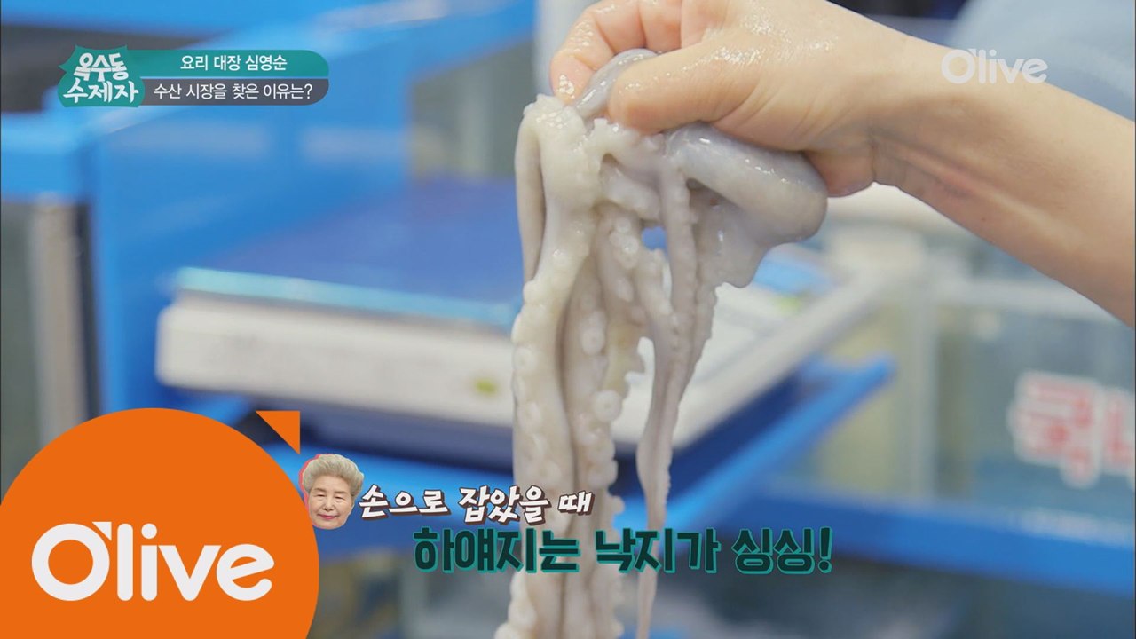 심샘 & 재환의 수산시장 폭풍 쇼핑! 대가의 낙지 고르는 팁은?