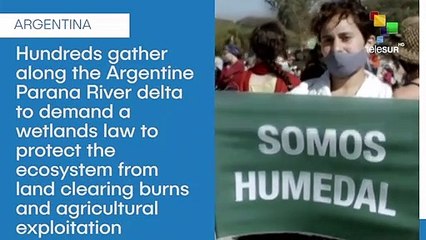 Protesters Urge Argentine Government To Protect Parana Wetlands