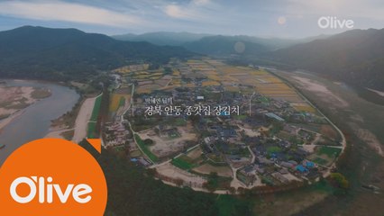 삼성 지펠아삭 #메탈그라운드_Road [경북 안동 종갓집 장김치 편]