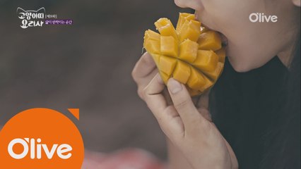 과일을 더 맛있게 만드는 마법의 가루?!