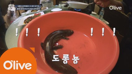 [장가계] 최고의 보양식은 왕 도롱뇽?!