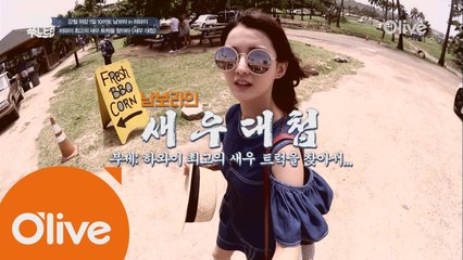 [하와이] 최고의 새우트럭은 어디? 남보라의 새우대첩!