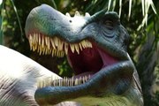 Dinosaur | Dinosaurs | Amazing dinosaurs | Dinosaurs video