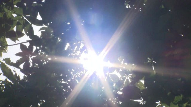 [날씨] 전국 폭염경보, 찜통더위 절정...온열 질환 비상 / YTN