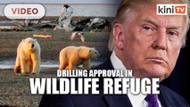 Trump administration finalizes oil drilling plan in Alaska wildlife refuge