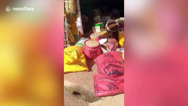 Buildings damaged as powerful earthquake strikes central Philippine region