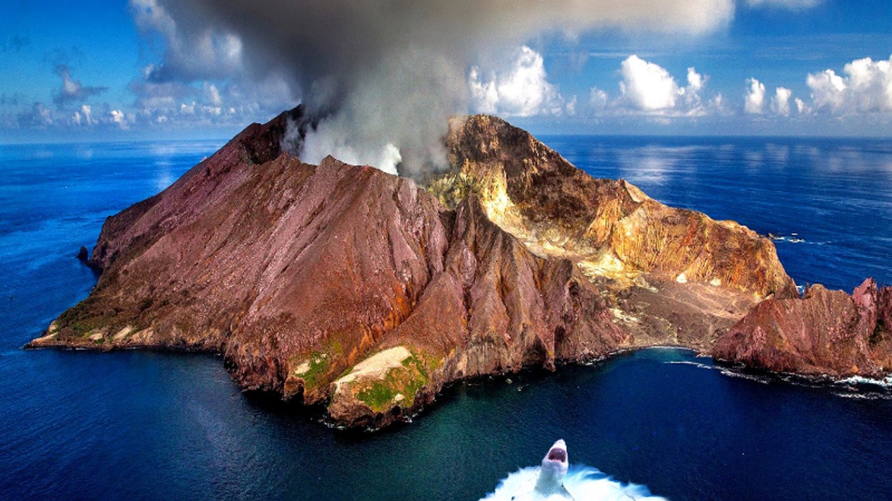 Tiburones que viven dentro de un volcán activo desconciertan a los científicos