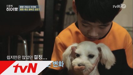반려견과의 만남을 통해 변화한 소년의 이야기