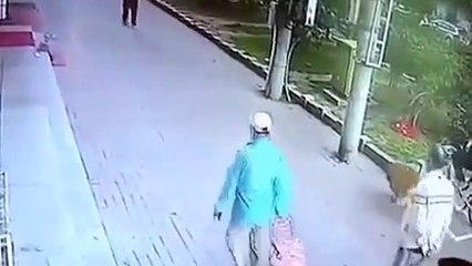 Yolda yürürken başına kedi düşen adam hastanelik oldu