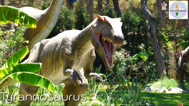 अलग अलग प्रकार के जानवर - आपने पहले नही देखे होंगे