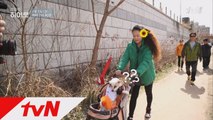 tvN이 찾은 57번째 히어로, 유기견들의 대모 염수진