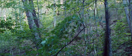 DIE TRIBUTE VON PANEM - THE HUNGER GAMES | Trailer German HD (2012)