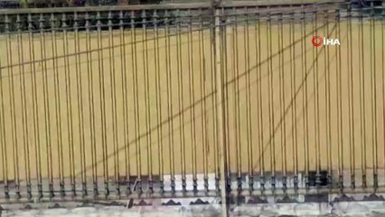 - Afganistan’da bağımsızlık günü kutlamalarında roketli saldırı: 10 yaralı