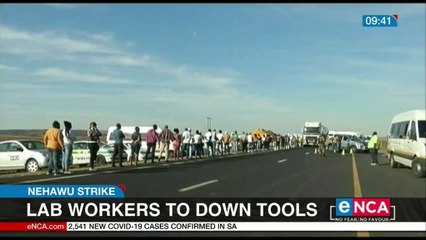 Lab workers to down tools