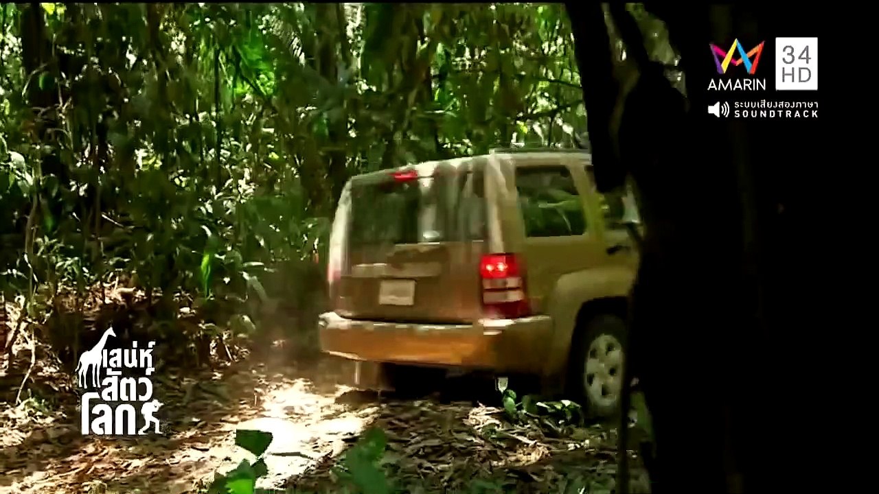 เสน่ห์สัตว์โลก World Animals EP.76