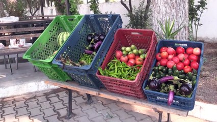 Öğretmenlerin 'iyilik bahçesi' ihtiyaç sahiplerine destek oluyor - AYDIN