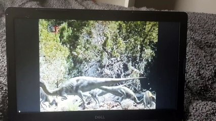 Walking With Dinosaurs Big Al Hunting Dryosaurus Czech