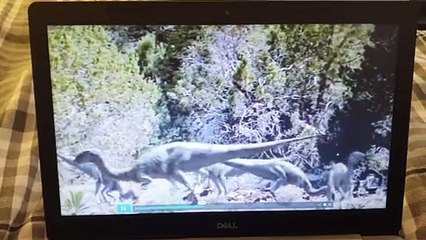 Walking With Dinosaurs Big Al Hunting Dryosaurus Portugues