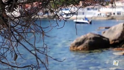 Anse Méjean à Toulon