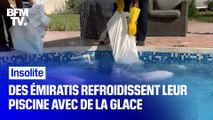 À Dubaï, des habitants se font livrer des blocs de glace pour rafraîchir leur piscine