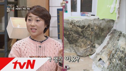 오래된 집의 단골손님 ′곰팡이′ 박멸 비법은? ′불쇼′