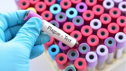 Someone In California Was Just Diagnosed With The Plague