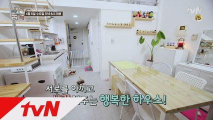 [예고] 반려동물 인테리어 특집