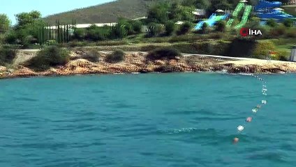 Deniz dibindeki utanç duvarı Bakanlığı harekete geçirdi