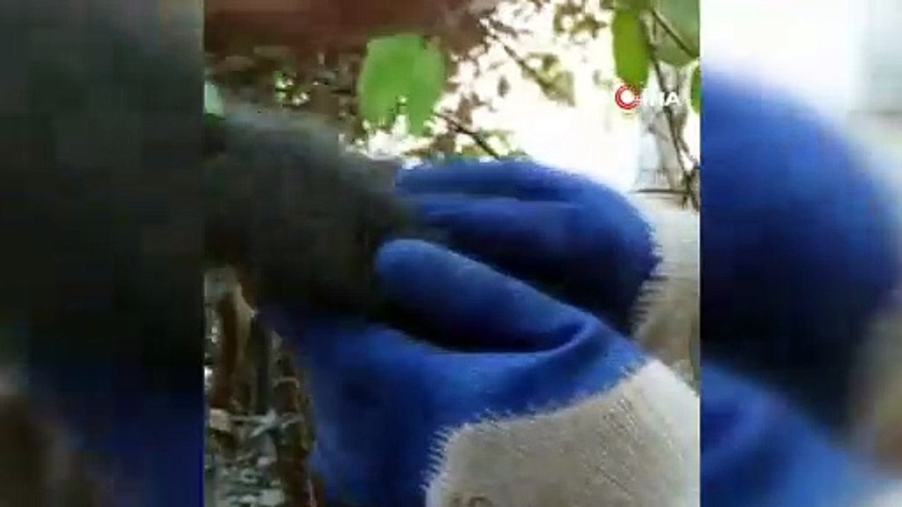 İtfaiye ekipleri yavru kedi için seferber oldu