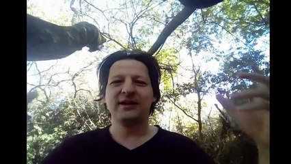 Ninguém é insubstituível? - Fui mandado embora e agora? - Fui demitido na pandemia.