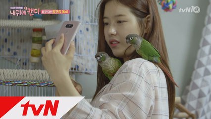 ′압구정 백야′ 국민악역 박하나, ′집에서 새 키워요′