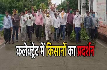 कलेक्ट्रेट में सोयाबीन की बर्बाद फसल लेकर किसानों का प्रदर्शन