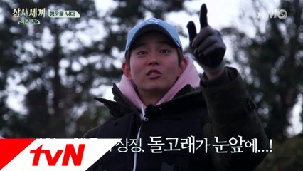 푸른바다의 고래! 득량도에 돌고래 등장!