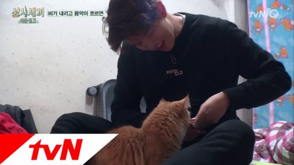귱파파와 쿵몽이의 뽀뽀+간식!