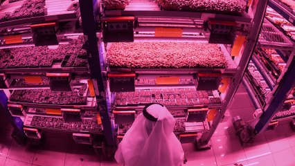 Farmers grow seeds of ‘revolution’ in Dubai as food security a concern amid the pandemic