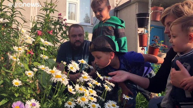 Ромашки и ветрюги : как за несколько лет изменился сибирский климат?