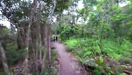 Stone ลานหินแตก  / Phu Hin Rong Kla National Park