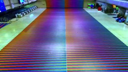 Natalicio del artista Carlos Cruz Diez