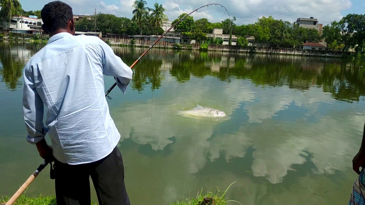 Big Catla Fishing Videos | Hunting and Fishing | Monster Catla Fish Catch by Fishing Rod