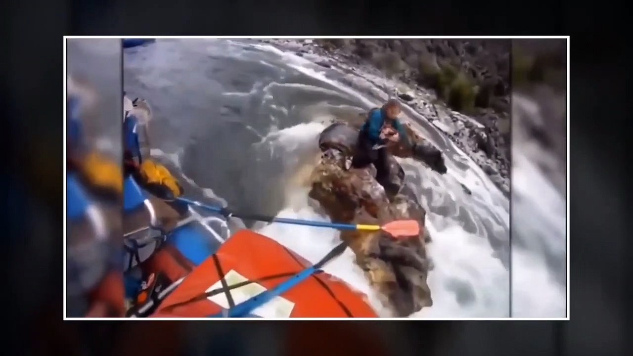 NEAR DEATH COMPILATION