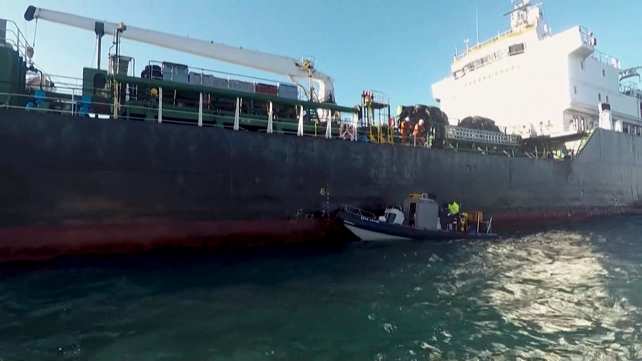 Die Kappinguine von Südafrika in Gefahr