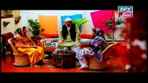 Behnain Aisi Bhi Hoti Hain Episode 212 & 213 | ARY Zindagi Drama