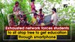 Exhausted network forces students to sit atop tree to get education through smartphone